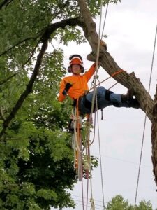 How Do You Know If a Tree Is Dangerous? Tree Service Advice for Marcy, NY Homeowners