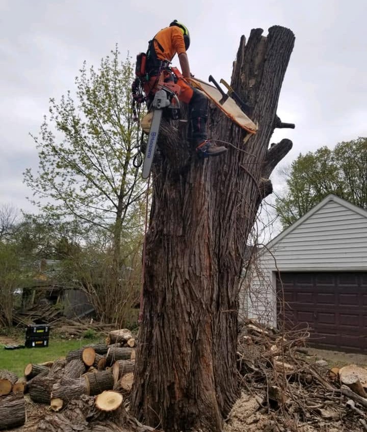 Need Emergency Tree Removal in Marcy, NY? Preble’s Tree Service