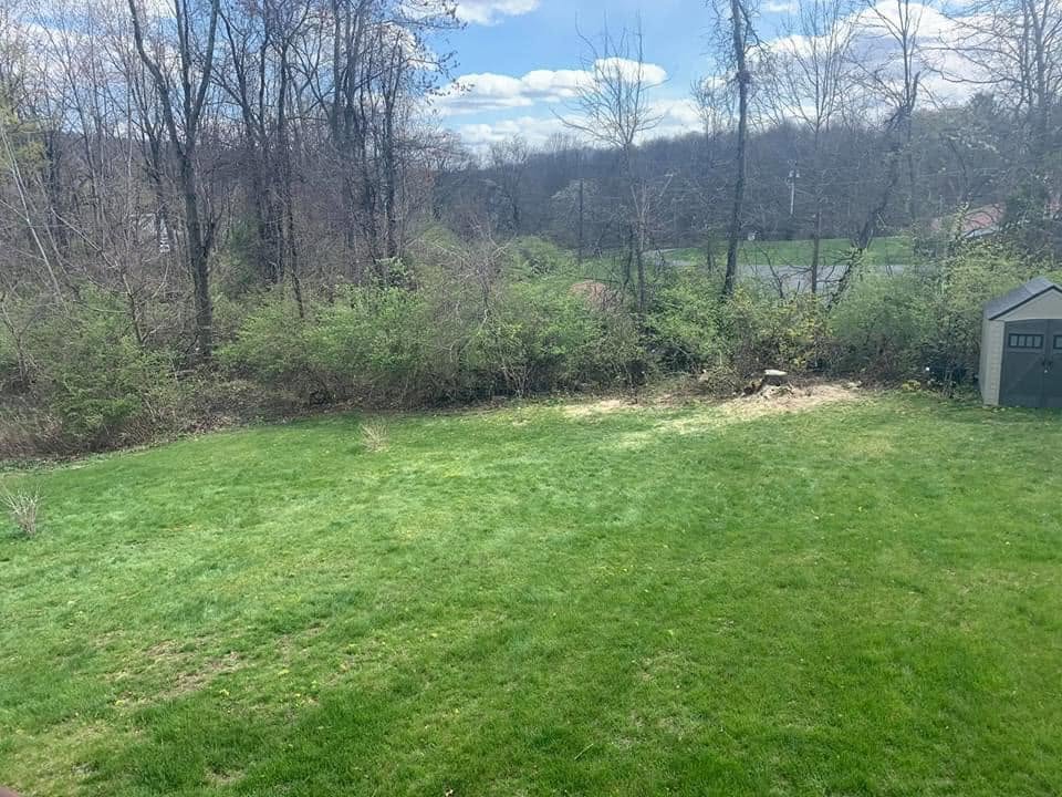 Stump Grinding in Marcy, NY